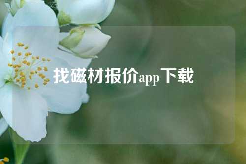 找磁材报价app下载