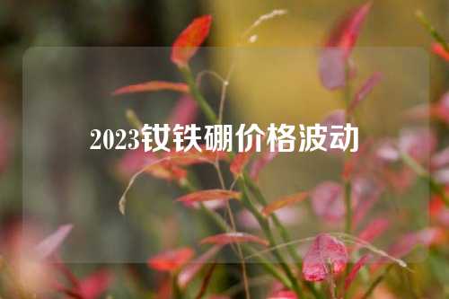 2023钕铁硼价格波动