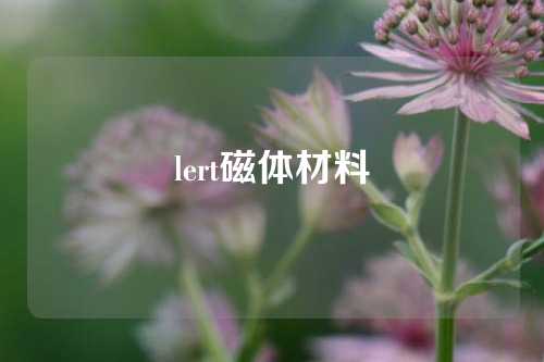 lert磁体材料