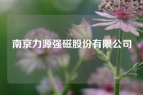 南京力源强磁股份有限公司