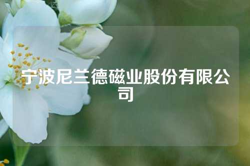 宁波尼兰德磁业股份有限公司