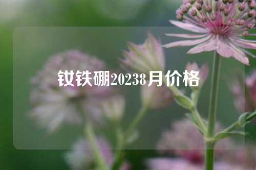 钕铁硼20238月价格