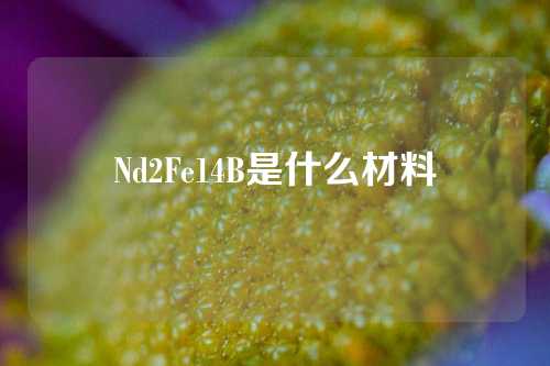 Nd2Fe14B是什么材料