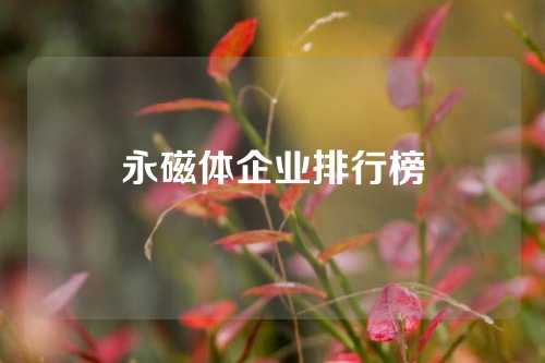 永磁体企业排行榜