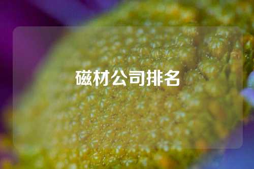 磁材公司排名