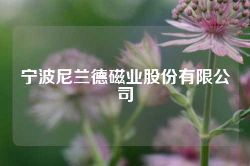 宁波尼兰德磁业股份有限公司