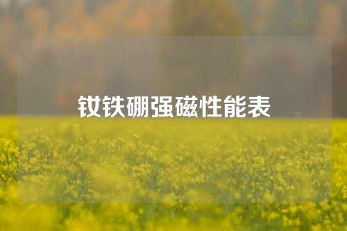 钕铁硼强磁性能表