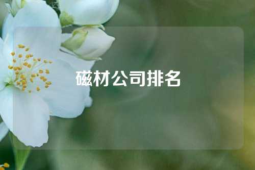 磁材公司排名