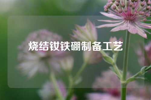 烧结钕铁硼制备工艺