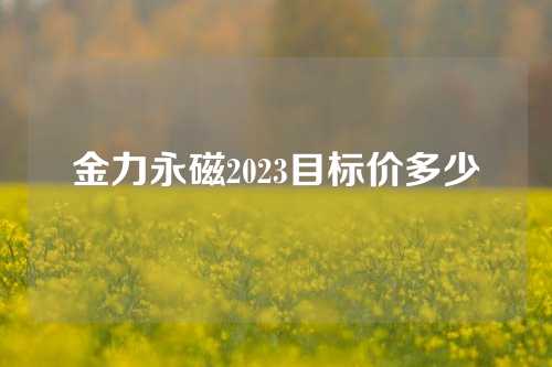 金力永磁2023目标价多少