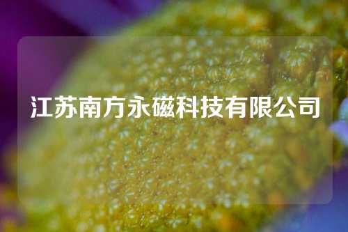 江苏南方永磁科技有限公司