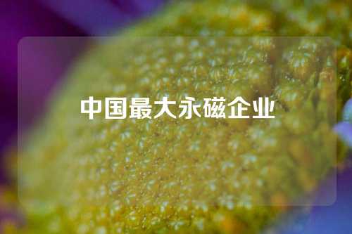 中国最大永磁企业