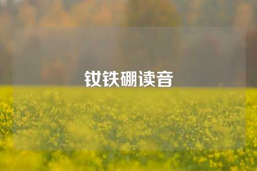 钕铁硼读音