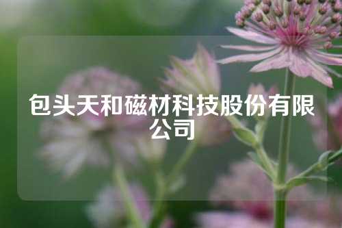 包头天和磁材科技股份有限公司