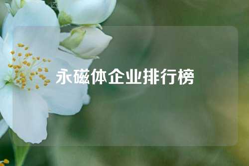 永磁体企业排行榜