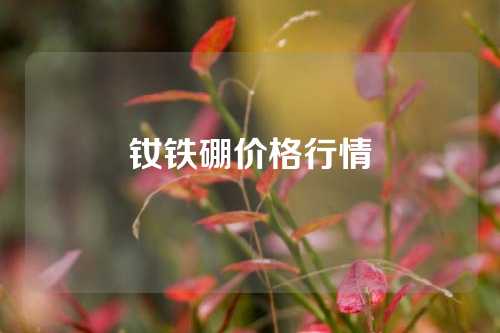 钕铁硼价格行情