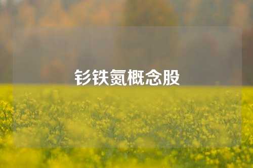 钐铁氮概念股