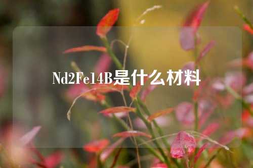 Nd2Fe14B是什么材料