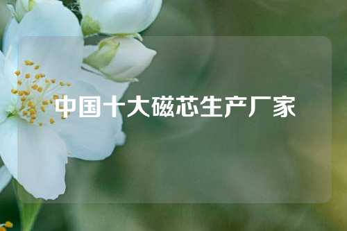 中国十大磁芯生产厂家