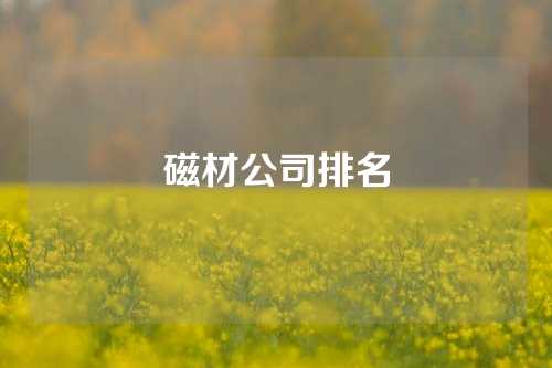 磁材公司排名