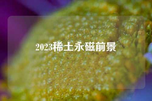 2023稀土永磁前景