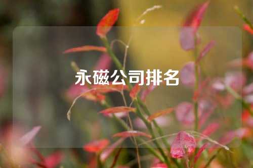 永磁公司排名