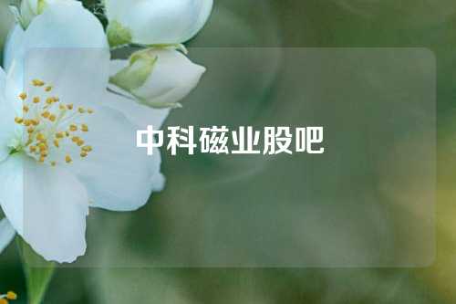 中科磁业股吧