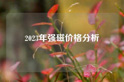 2023年强磁价格分析