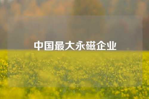 中国最大永磁企业