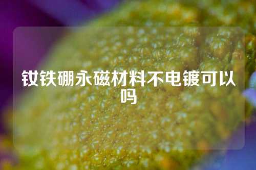 钕铁硼永磁材料不电镀可以吗