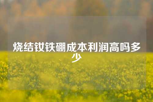 烧结钕铁硼成本利润高吗多少