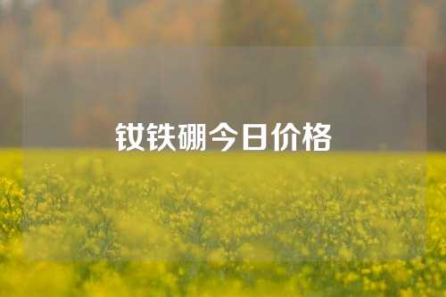 钕铁硼今日价格