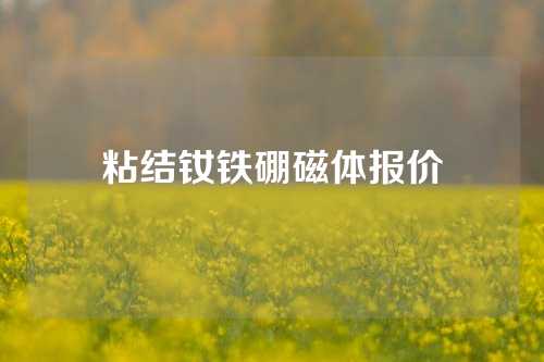 粘结钕铁硼磁体报价