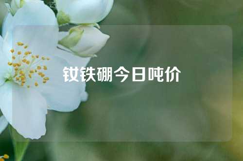 钕铁硼今日吨价