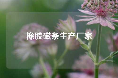 橡胶磁条生产厂家