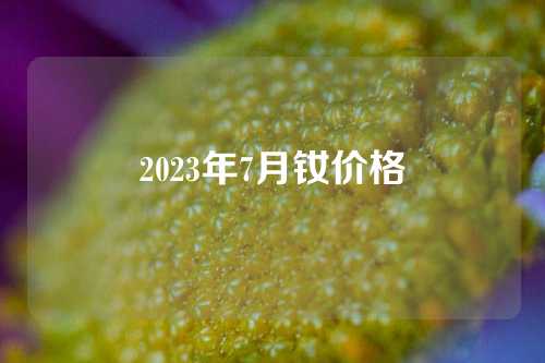 2023年7月钕价格