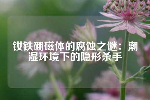 钕铁硼磁体的腐蚀之谜：潮湿环境下的隐形杀手