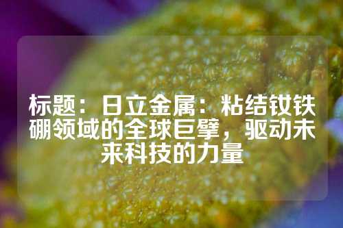 标题：日立金属：粘结钕铁硼领域的全球巨擘，驱动未来科技的力量