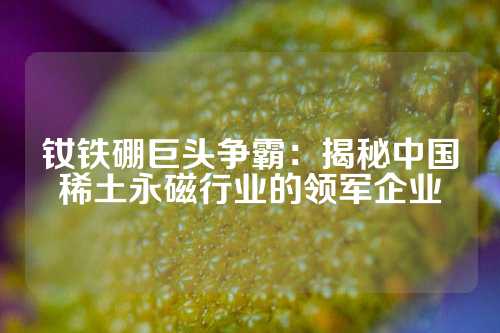 钕铁硼巨头争霸：揭秘中国稀土永磁行业的领军企业