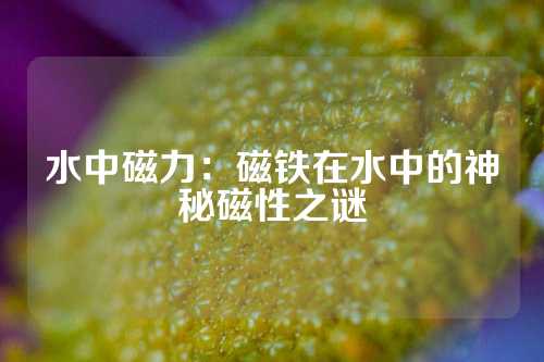 水中磁力：磁铁在水中的神秘磁性之谜