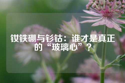 钕铁硼与钐钴：谁才是真正的“玻璃心”？