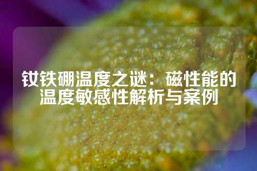 钕铁硼温度之谜：磁性能的温度敏感性解析与案例