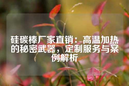 硅碳棒厂家直销：高温加热的秘密武器，定制服务与案例解析