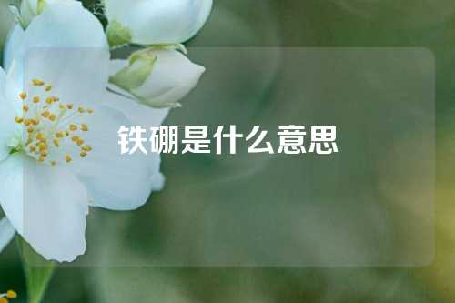 铁硼是什么意思