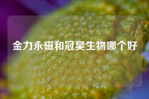 金力永磁和冠昊生物哪个好