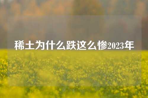 稀土为什么跌这么惨2023年