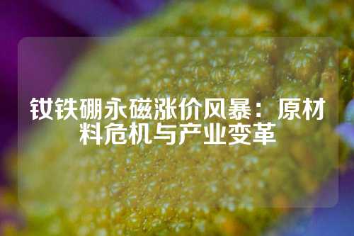 钕铁硼永磁涨价风暴：原材料危机与产业变革