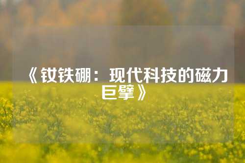 《钕铁硼：现代科技的磁力巨擘》