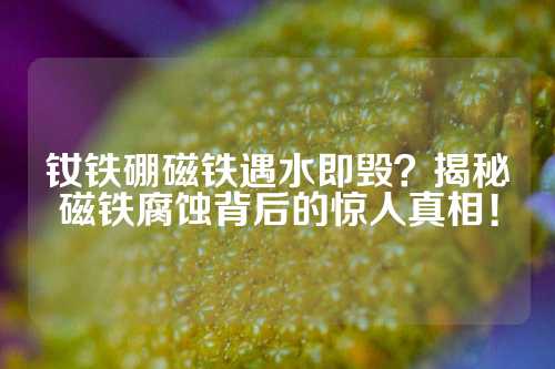 钕铁硼磁铁遇水即毁？揭秘磁铁腐蚀背后的惊人真相！