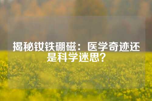 揭秘钕铁硼磁：医学奇迹还是科学迷思？